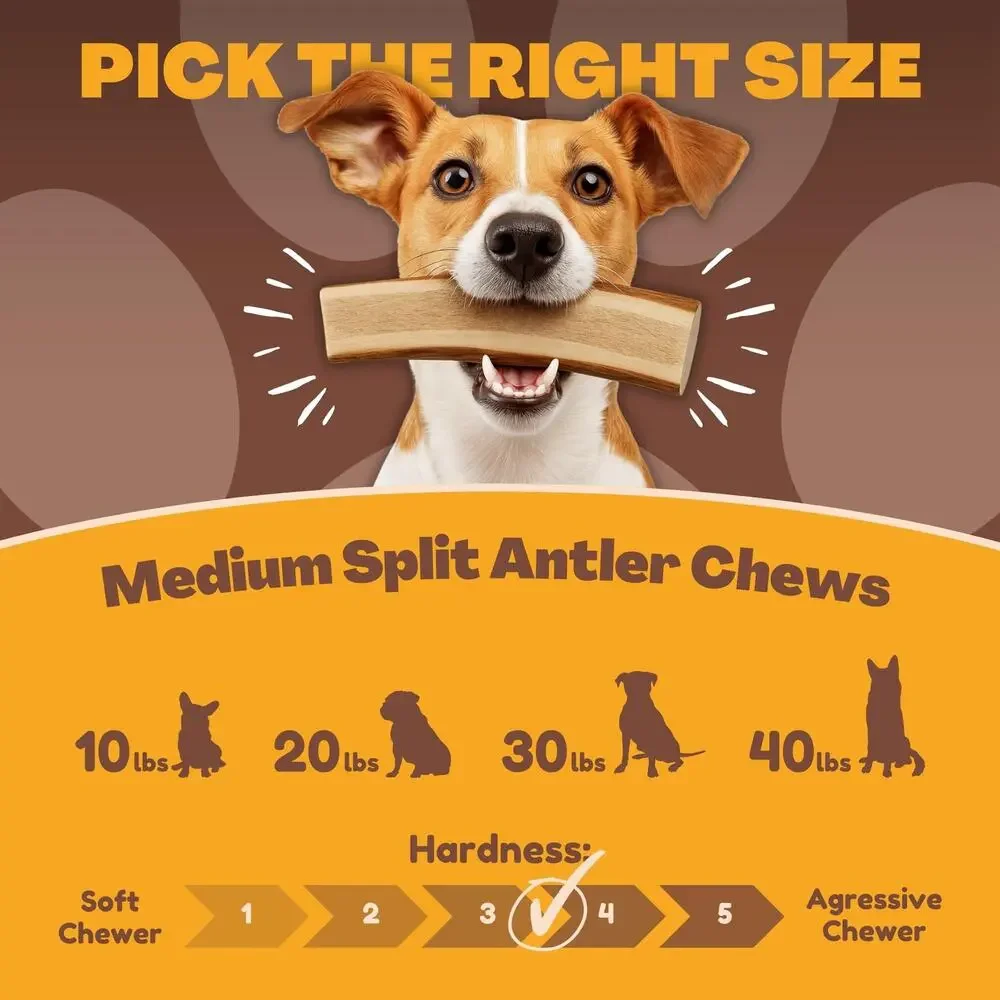 NWT WhiteTail Naturals Split Red Deer Antlers Medium Breed Dog Treats, 6 Count